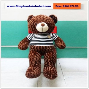 Gấu Bông Teddy Hàn Quốc - GAU39